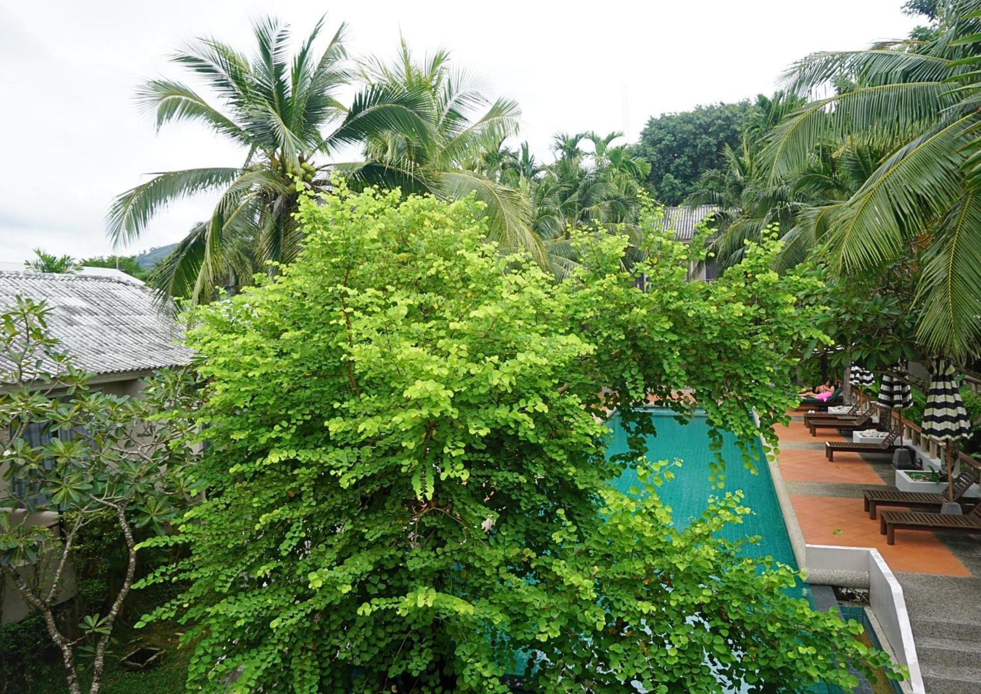 Signature Phuket Resort Chalong Εξωτερικό φωτογραφία
